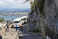 276 gibraltar affen
